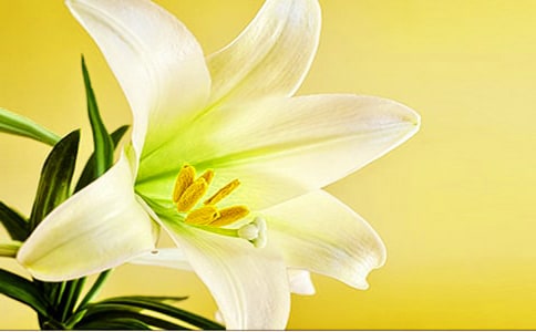 �W�����ģ��ٺϻ�