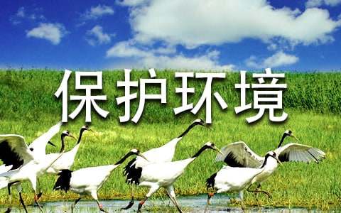 ��(sh��)�õı��o(h��)�h(hu��n)�����ģ��؂䣩