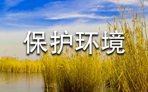 ���o�h(hu��n)������