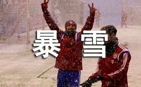 描寫暴雪的作文(精選44篇)
