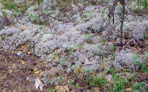������С�W(xu��)������