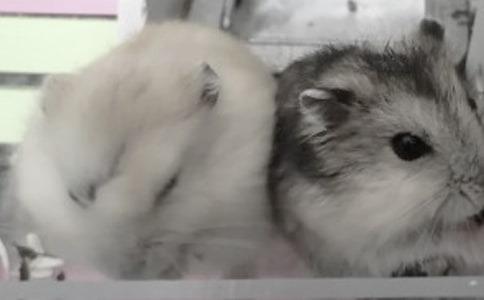 С�W�����Ԃ}������}