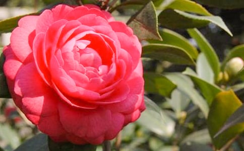 �軨���ģ����x46ƪ��