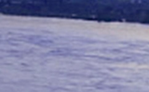 �L(zh��ng)��֮����x��