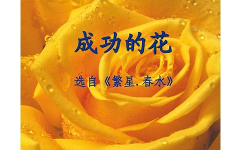 �ɹ��Ļ�����