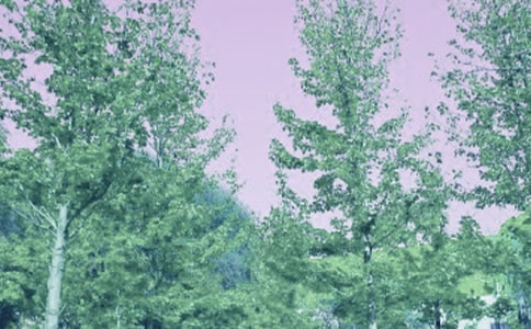 ���ݴ��L(f��ng)�����ֳ��Z(y��)