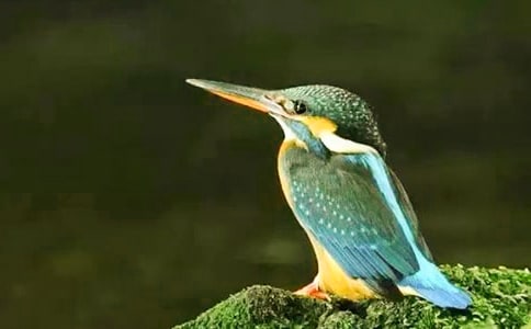 ���B����x�����