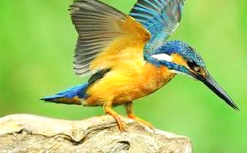 ���P�����B�����ģ����x38ƪ��
