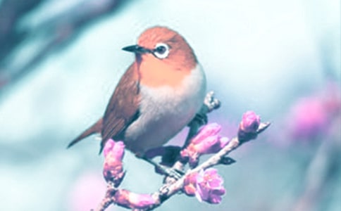 ���o��ֲ����҂���������