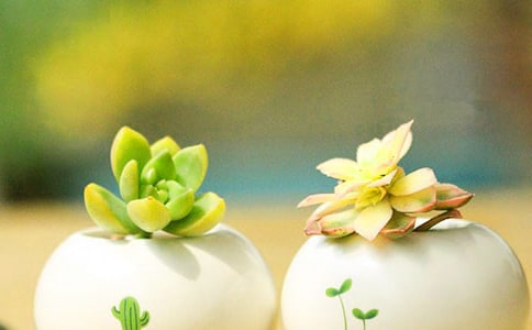 �ҵġ����⡱���у�������