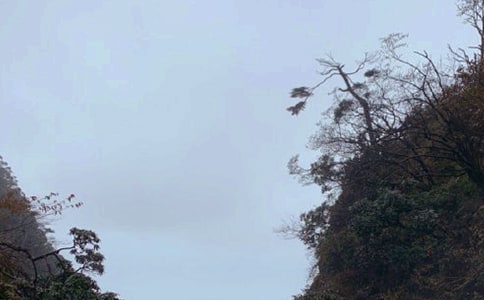 ��üɽ��ӛ����15ƪ