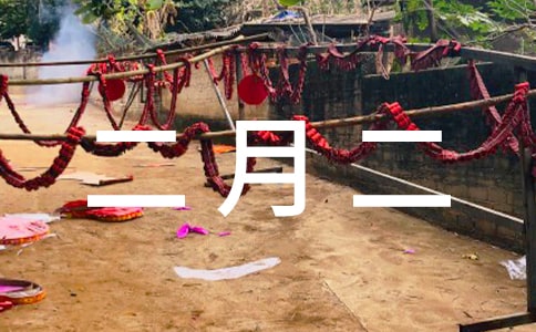二月二活動(dòng)方案幼兒園