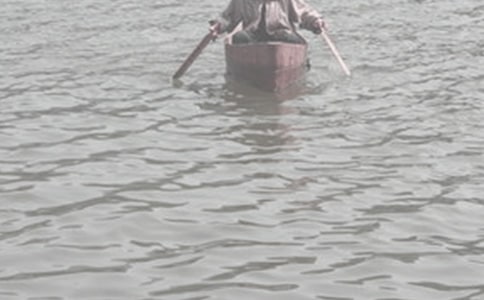 �ƺ�����