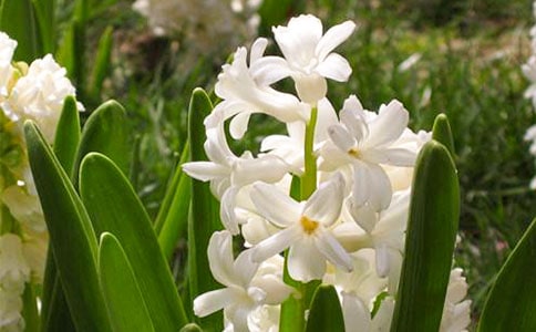 �L���ӵ���������500��