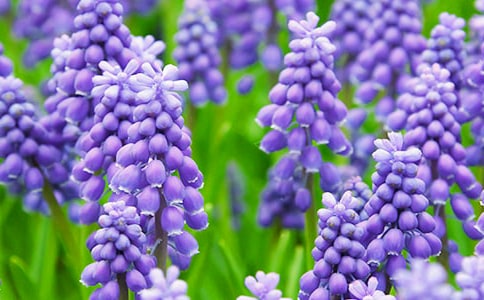 �Ҽҵ��L(f��ng)���Ӄ�(y��u)������