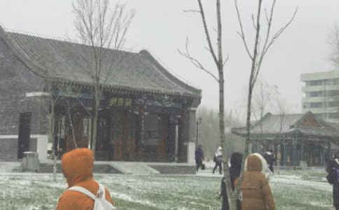 �L(f��ng)ѩ��Ĝ�������