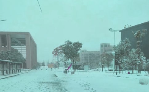 �茑�Lѩ�ĳ��Z