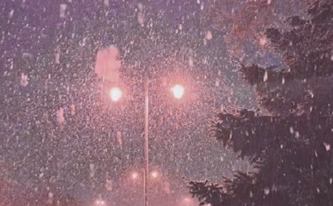 �Lѩ�е���������