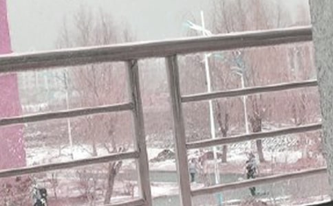 ӭ���Lѩ����