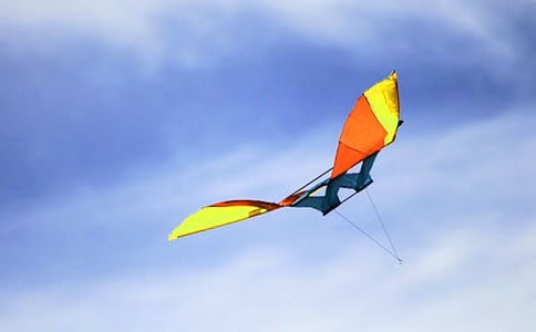 �L�~�w��������200��