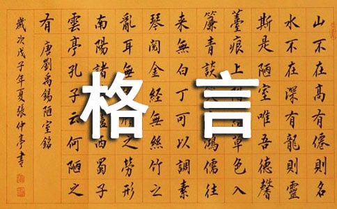 ��ϲ�g�ĸ�������