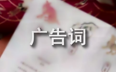 ����V���~���x����������