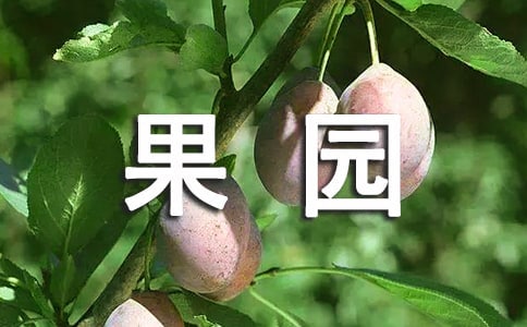���@�옷�ĕr����x�}����