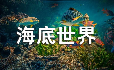 �������烺ͯ��(hu��)��(y��u)����Ʒ���p