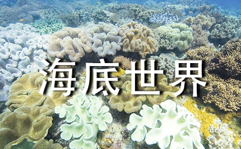 ��˼���뺣�����烺ͯ����Ʒ���p