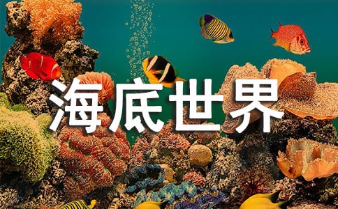 �������烺ͯ���D�����p