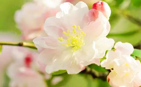  ʷ�F�����Ϻ��Ę䡷��x�����}����