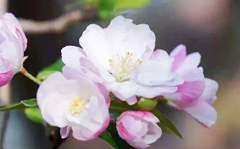 �P�ں��Ļ�����15ƪ