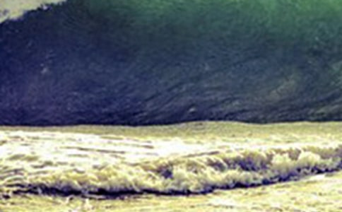�P(gu��n)�ڡ����[���E�����^���