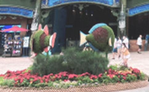(精選)海洋公園作文