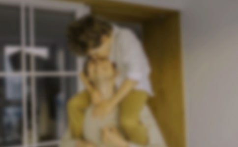 ����Ŀ�еĺðְ����ģ�ͨ��20ƪ��