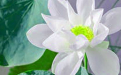 �ɻ����P�����p