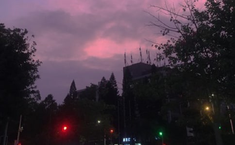 ���ְ����ҹ�ĳ��Z������