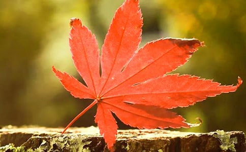 �茑��ɽ�t�~������400��