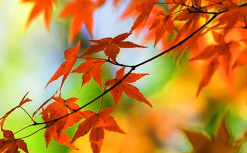 �t�~��xӖ����