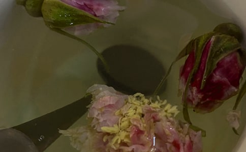 �ջ���С�W(xu��)����