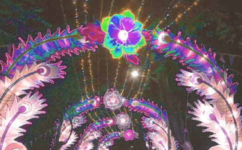 һҹ��������ֻ�����������