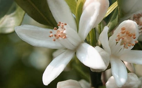 �茑���컨��`�ŵ�����