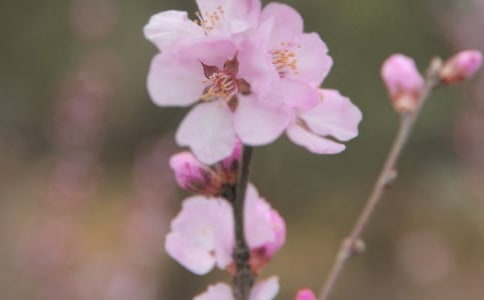 �茑���컨�������