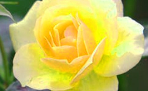 Ư�����ֹ����C����DIY���C�̳�