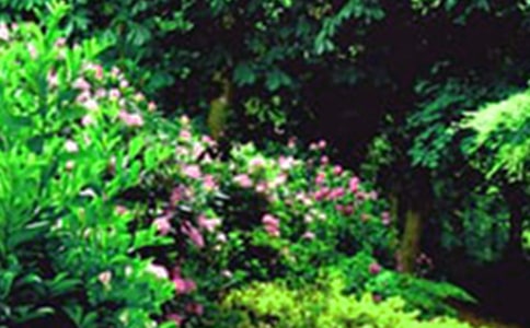 �����Ļ��@�߶�����