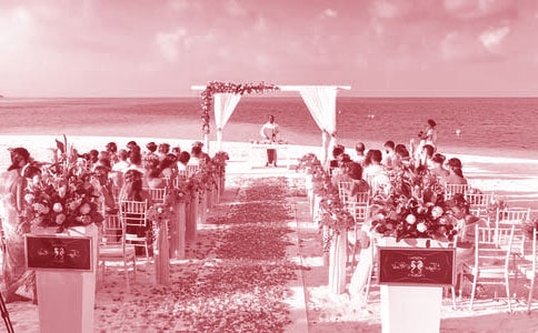 ���ӻ�Y��Ȥ�����ģ����x29ƪ��