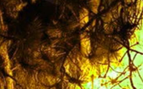 �A���������400�֣����x16ƪ��