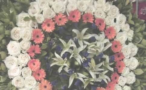 ���젔���и�����