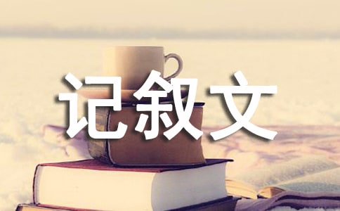 記敘文的表達方式及作用