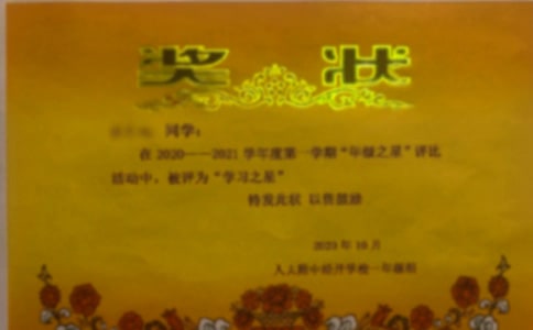 С�W���꼉�P�ڪ��������